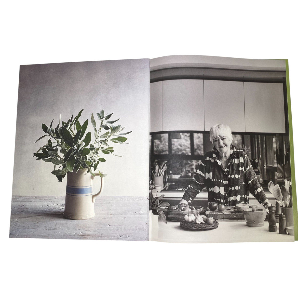 Stephanie Alexander Home Cookbook