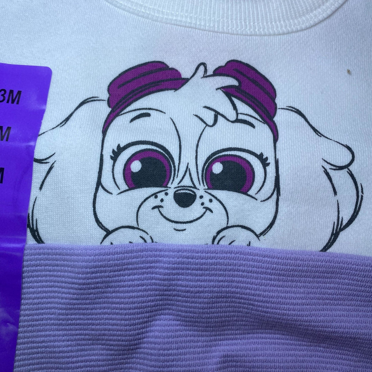 Nickelodeon Paw Patrol Girls 4 Piece Clothing Set - 3M