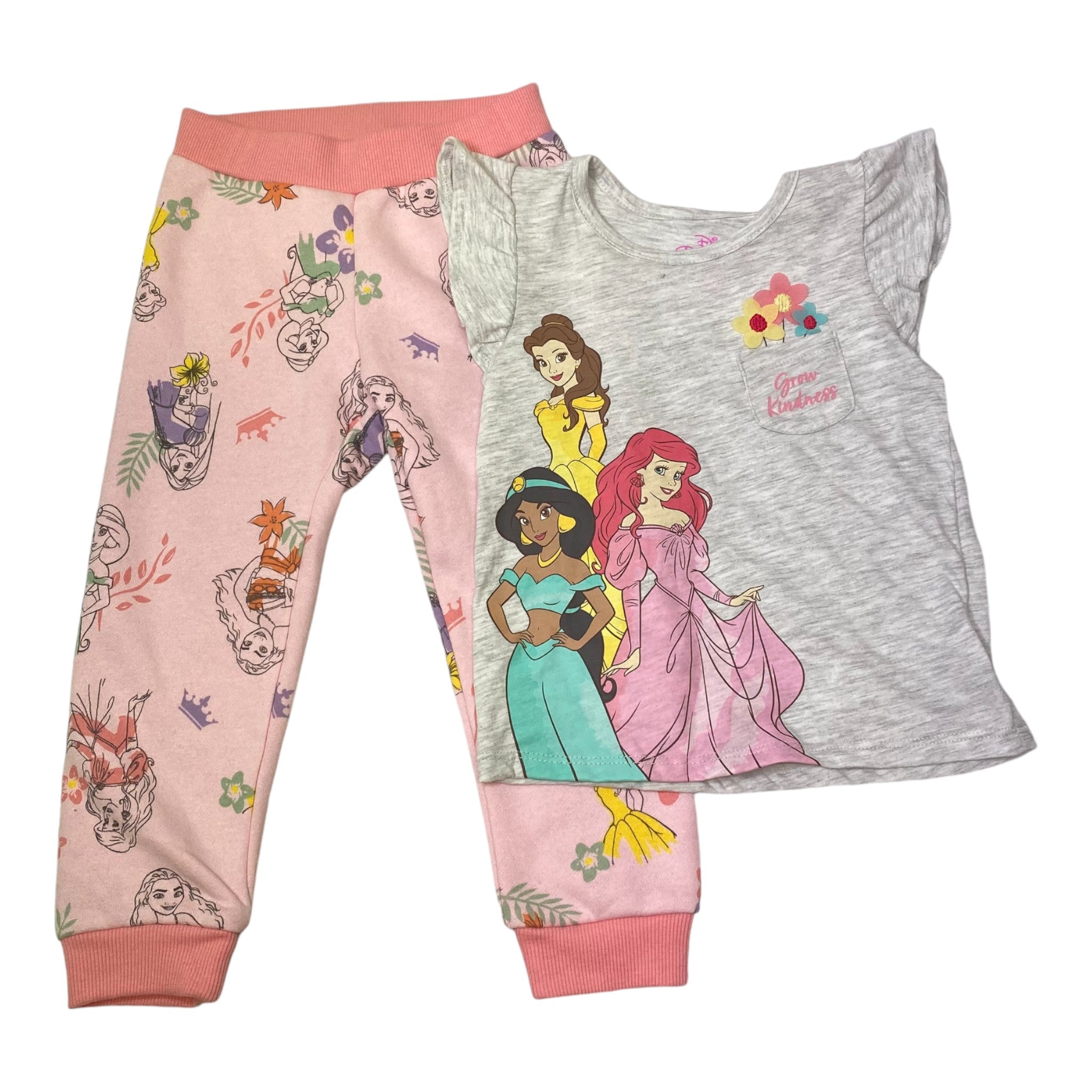 Disney Girls Princess 2 Piece Clothing Set - Size 3T SIZE - 3