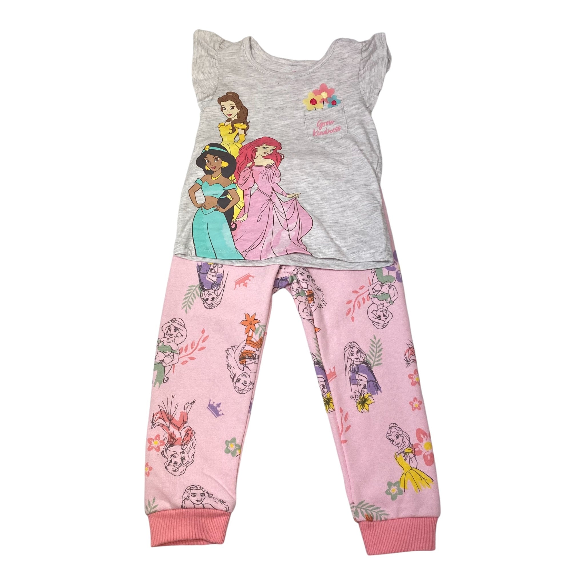 Disney Girls Princess 2 Piece Clothing Set - Size 3T SIZE - 3