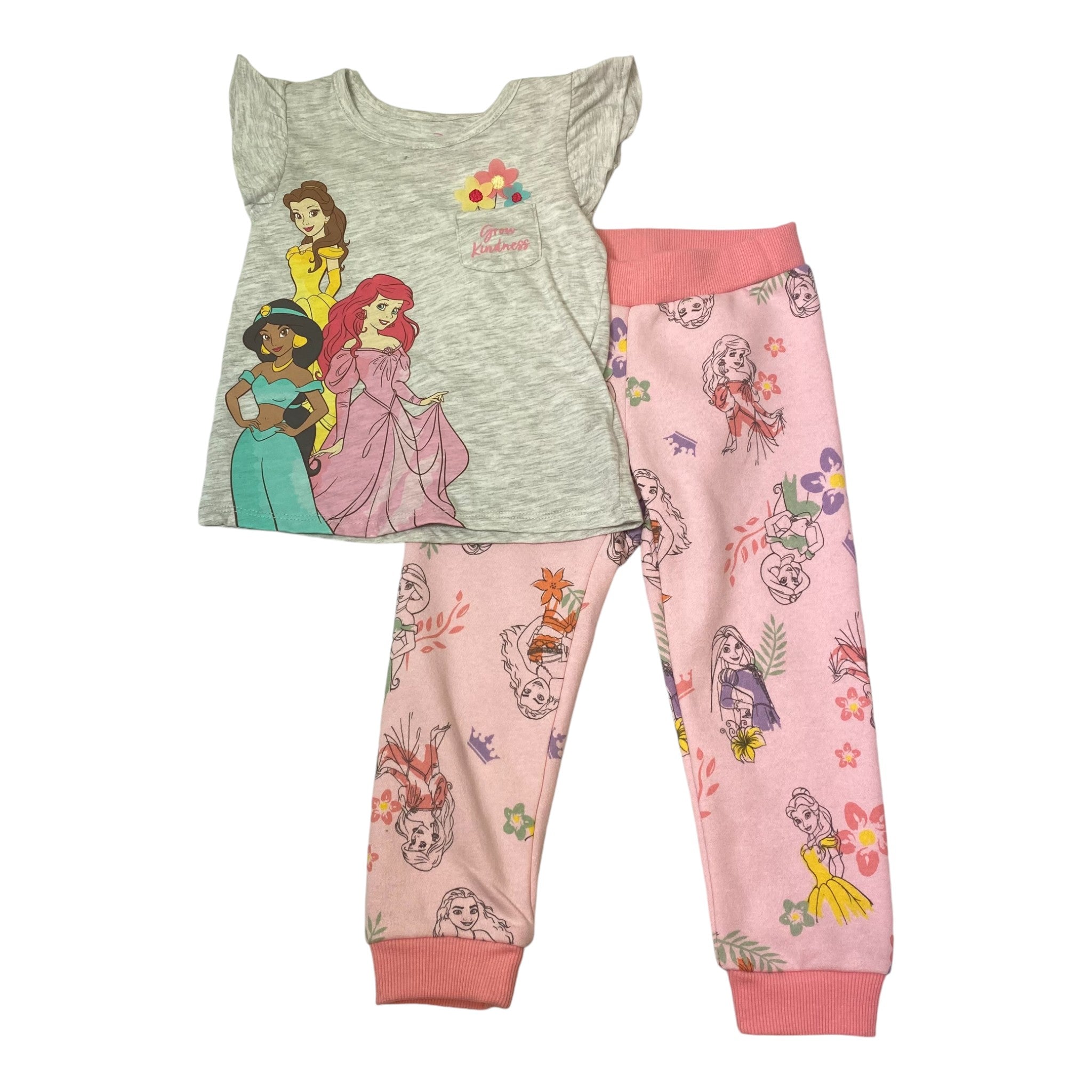 Disney Girls Princess 2 Piece Clothing Set - Size 3T SIZE - 3