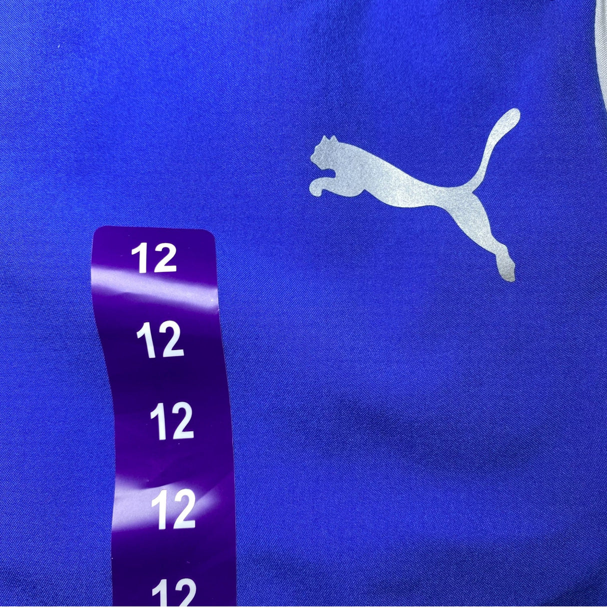 Puma Boy's Drycell Active Sports Woven Shorts