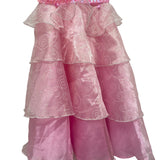 Teetot Princess Factory Costume Dress Only - 3-4 Years