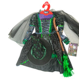 Teetot Princess Factory Green Witch Costume - 3-4 Years SIZE - 3